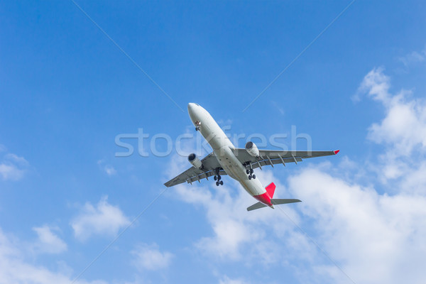 airplane overhead flying Stock photo © tungphoto