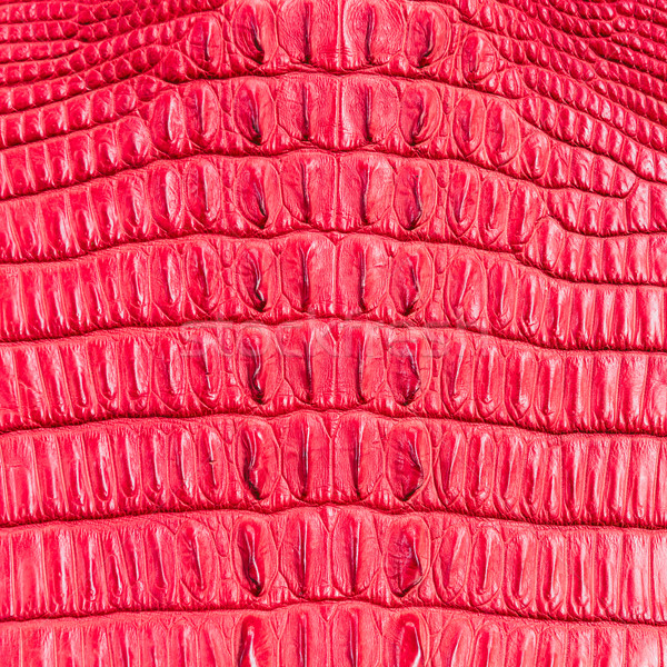 Rosso coccodrillo pelle texture design frame Foto d'archivio © tungphoto