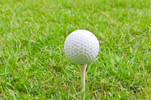 Foto stock: Pelota · de · golf · hierba · textura · deporte · verano · azul