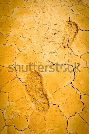 footprint on dry crack soil Stock photo © tungphoto