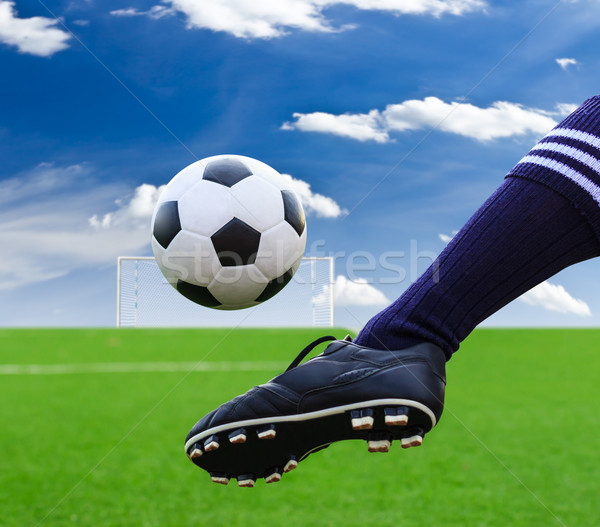 foot kicking soccer ball Stock photo © tungphoto