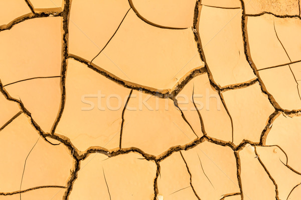 Foto stock: Rachado · solo · textura · abstrato · verão · padrão