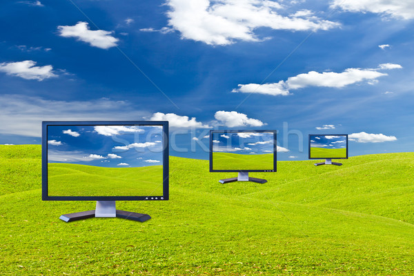 LCD monitor zöld fű legelő televízió háttér Stock fotó © tungphoto