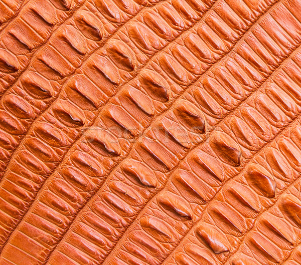 Braun Krokodil Haut Textur Design Rahmen Stock foto © tungphoto