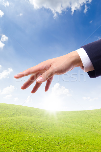 hand bring new day Stock photo © tungphoto