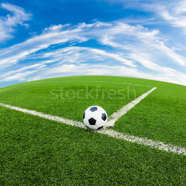 Voetbal groen gras veld voetbal sport voetbal Stockfoto © tungphoto