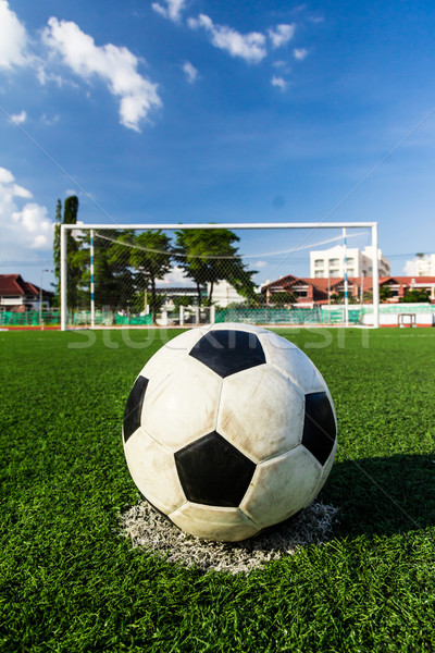 Soccer ball erba verde obiettivo net calcio sport Foto d'archivio © tungphoto