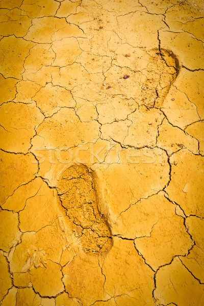 footprint on dry crack soil Stock photo © tungphoto