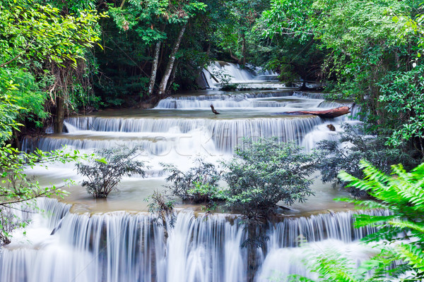 water fall , hua mae kamin level 4 kanchanaburi thailand Stock photo © tungphoto