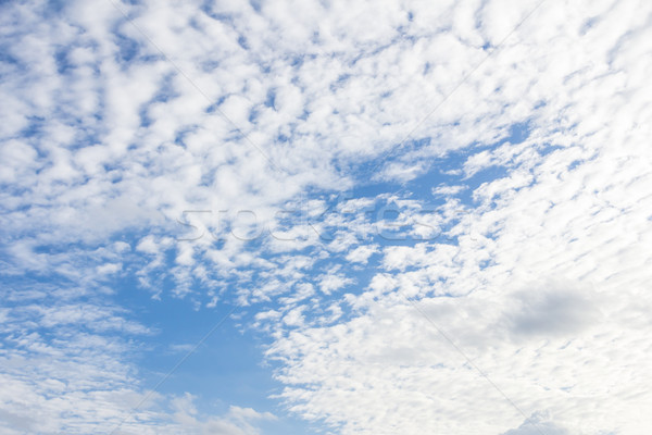 Nuage ciel bleu printemps nature paysage été [[stock_photo]] © tungphoto