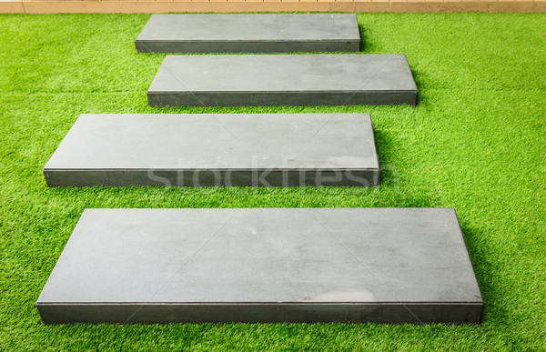 stone walk way on green grass Stock photo © tungphoto