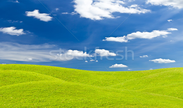 green grass meadow and blue sky Stock photo © tungphoto
