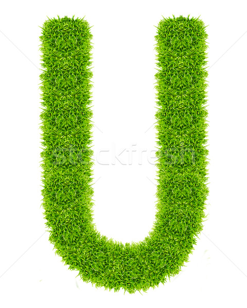 green grass letter U Isolated Stock photo © tungphoto