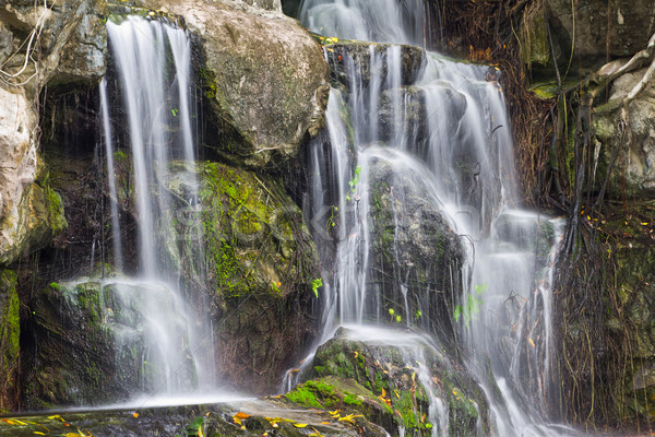 çağlayan Tayland su orman manzara kaya Stok fotoğraf © tungphoto