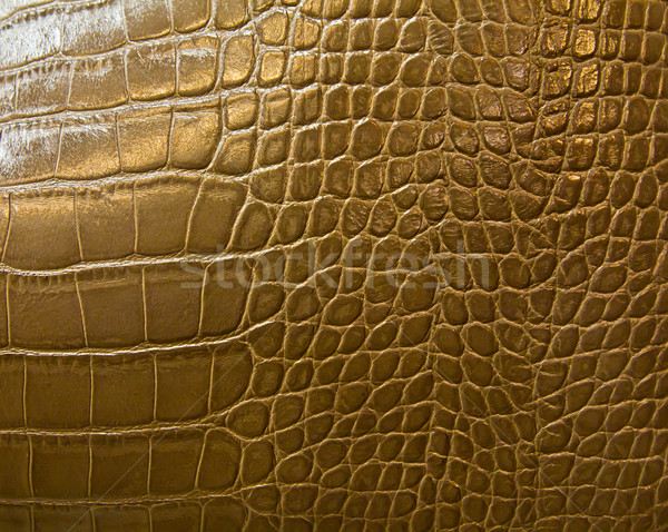 crocodile skin texture Stock photo © tungphoto