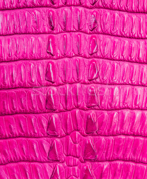 pink crocodile skin texture Stock photo © tungphoto