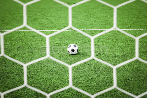 Football herbe verte net football sport été [[stock_photo]] © tungphoto