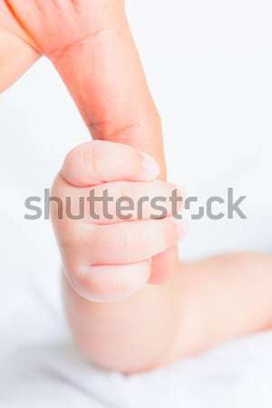 baby hand holding adult finger Stock photo © tungphoto