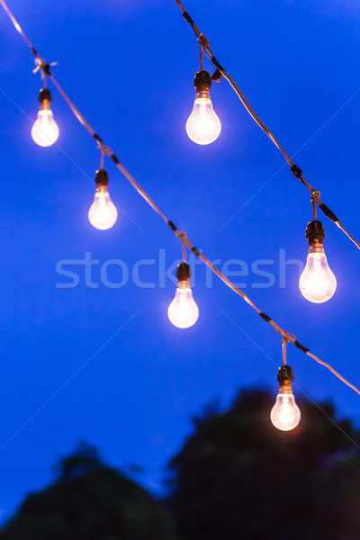 light bulb at dusk Stock photo © tungphoto