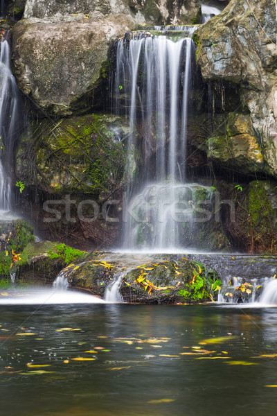 çağlayan Tayland su orman manzara kaya Stok fotoğraf © tungphoto