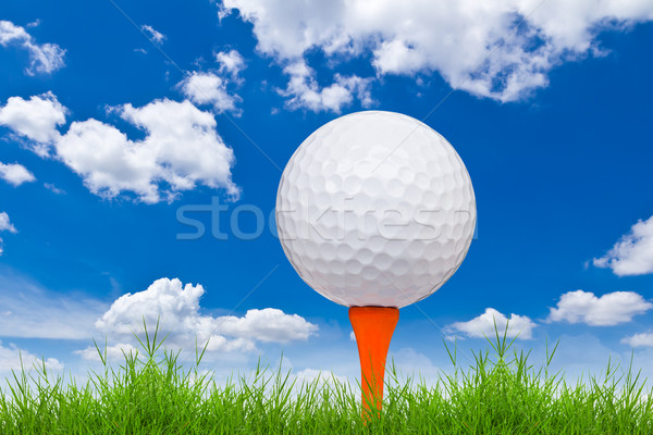 高尔夫球    绿草    天空    草    运动    夏天 / golf ball on