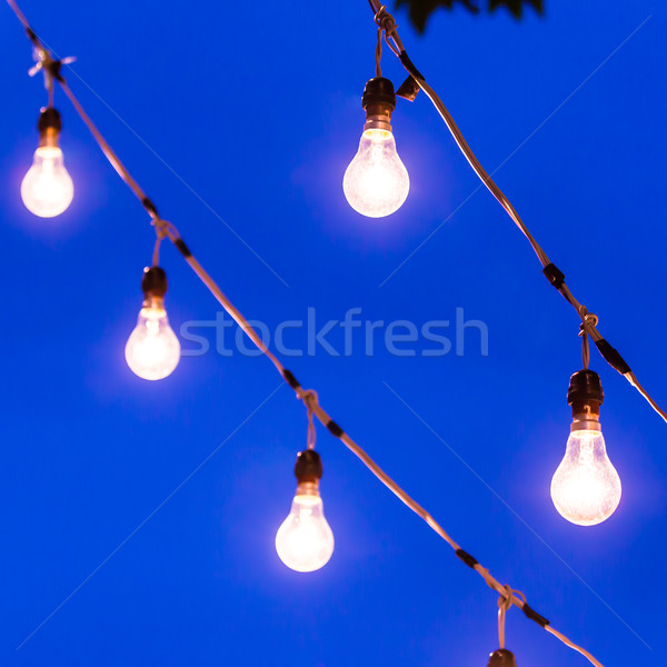 light bulb at dusk Stock photo © tungphoto