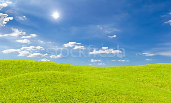 Foto d'archivio: Erba · verde · prato · luminoso · sole · cielo · blu · cielo