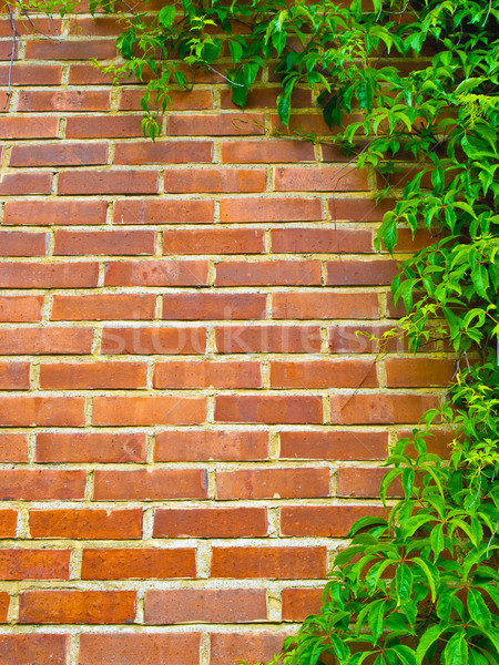 Parede de tijolos projeto fundo verde vermelho cor Foto stock © tuulijumala