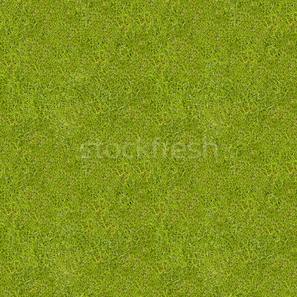 Seamless green meadow grass texture. Stock photo © tuulijumala