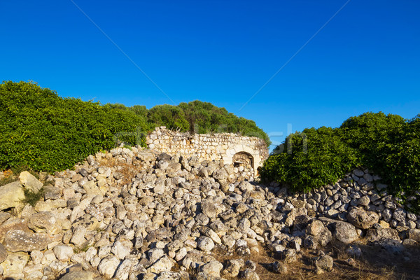 Torralba d'en Salort ruins at Menorca, Spain. Stock photo © tuulijumala