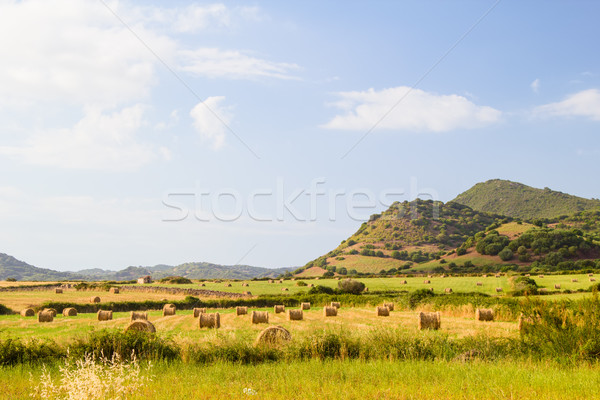 Menorca island landscape with farmland and green hills in sunny  Stock photo © tuulijumala