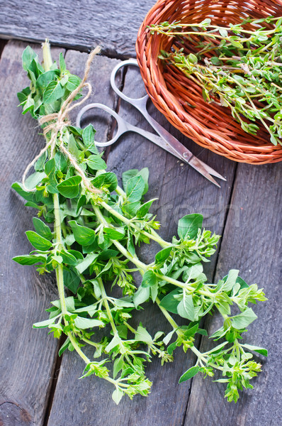 Foto stock: Orégano · jardim · planta · cozinhar · comer · arbusto