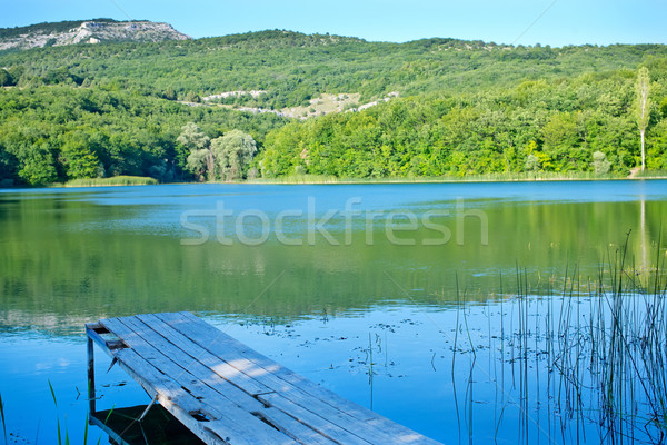 ストックフォト: 自然 · 水 · 草 · 木材 · 太陽 · 日没