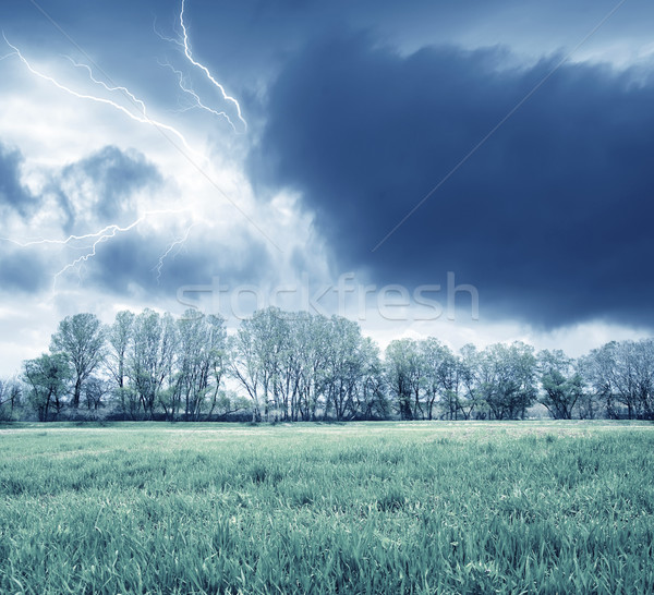 Green field and storm Stock photo © tycoon