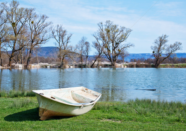 Lac vară Blue Sky cer copac primăvară Imagine de stoc © tycoon