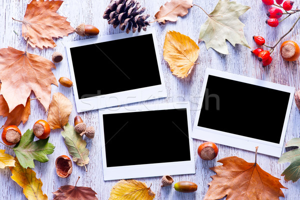 autumn background Stock photo © tycoon