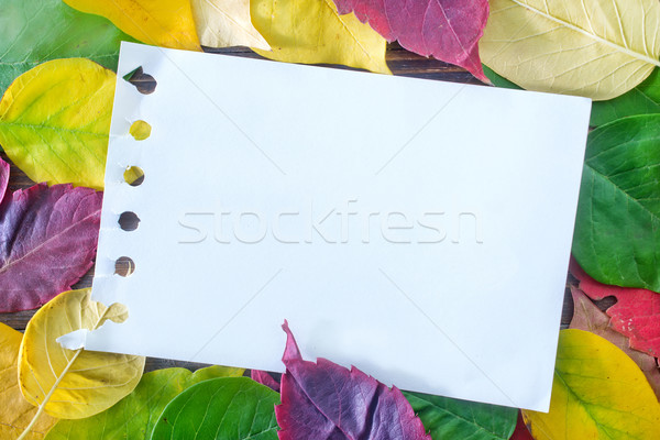 Sonbahar yaprakları ahşap yaprakları notepad ofis doku Stok fotoğraf © tycoon