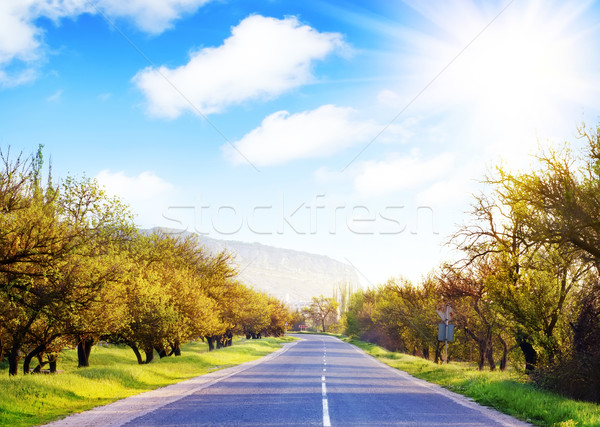 road in Crimea Stock photo © tycoon