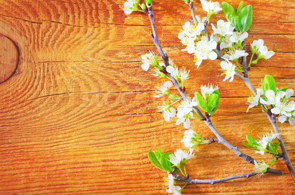 Bloemen houten gezondheid schoonheid kunst zomer Stockfoto © tycoon