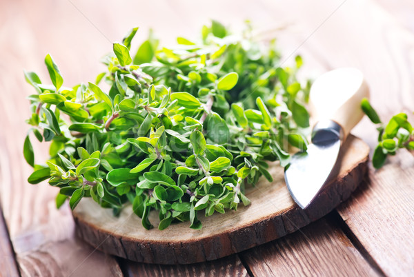 marjoram on a wooden rustic table Stock photo © tycoon