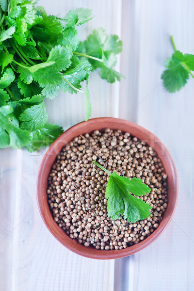 coriander Stock photo © tycoon
