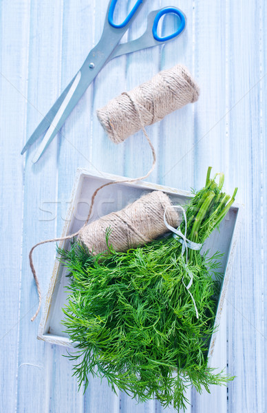 fresh dill Stock photo © tycoon