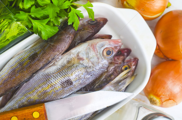 fresh fish Stock photo © tycoon