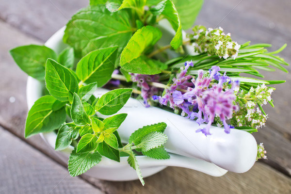 Fresche aroma erbe foglia medicina Foto d'archivio © tycoon