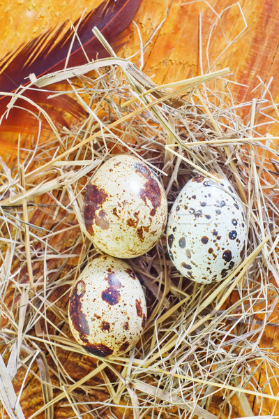 Huevos de Pascua Pascua primavera alimentos madera feliz Foto stock © tycoon