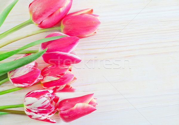 Tulips Stock photo © tycoon