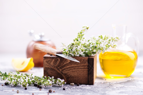 thyme Stock photo © tycoon