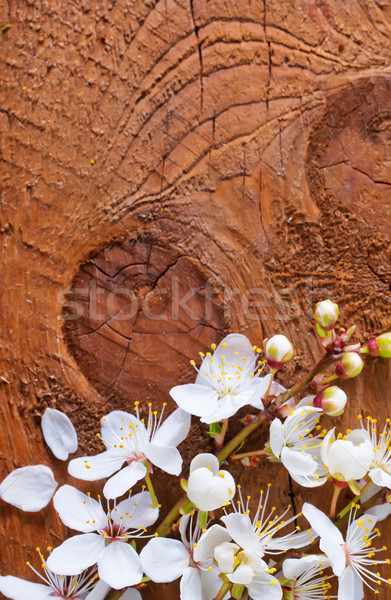 flowers on wooden background Stock photo © tycoon
