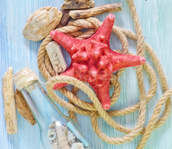 sea shells on blue background Stock photo © tycoon