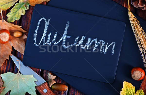 autumn background Stock photo © tycoon